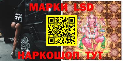 шишки Изобильный