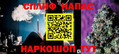 шишки Изобильный