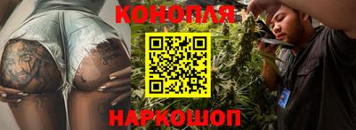 шишки Изобильный
