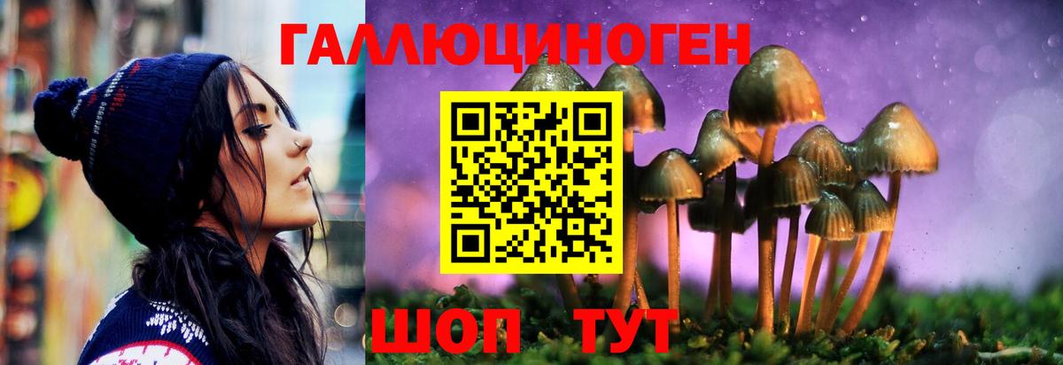 Псилоцибиновые грибы мицелий  Вход с VPN  Мценск  Псилоцибиновые грибы Cubensis 