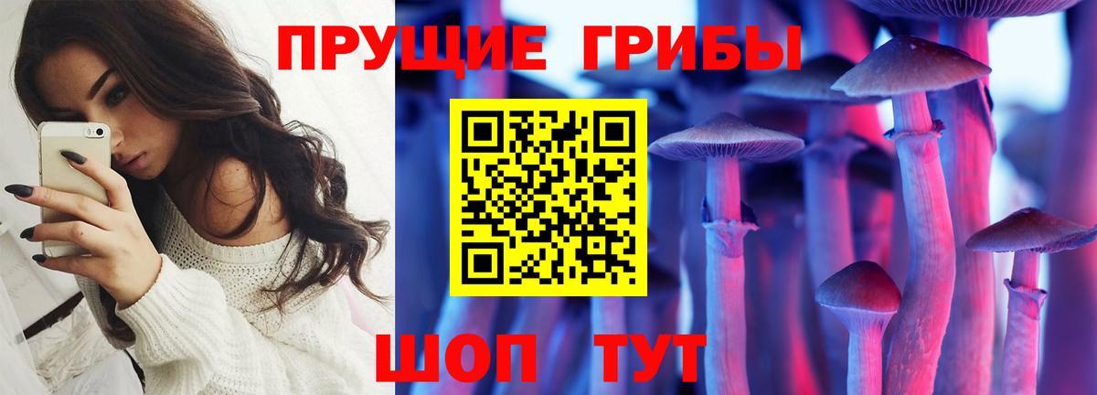 Галлюциногенные грибы Psilocybine cubensis Мценск
